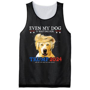 Groovy Even My Dog Is Waiting For Trump 2024 Funny Dog  Mesh Reversible Basketball Jersey Tank