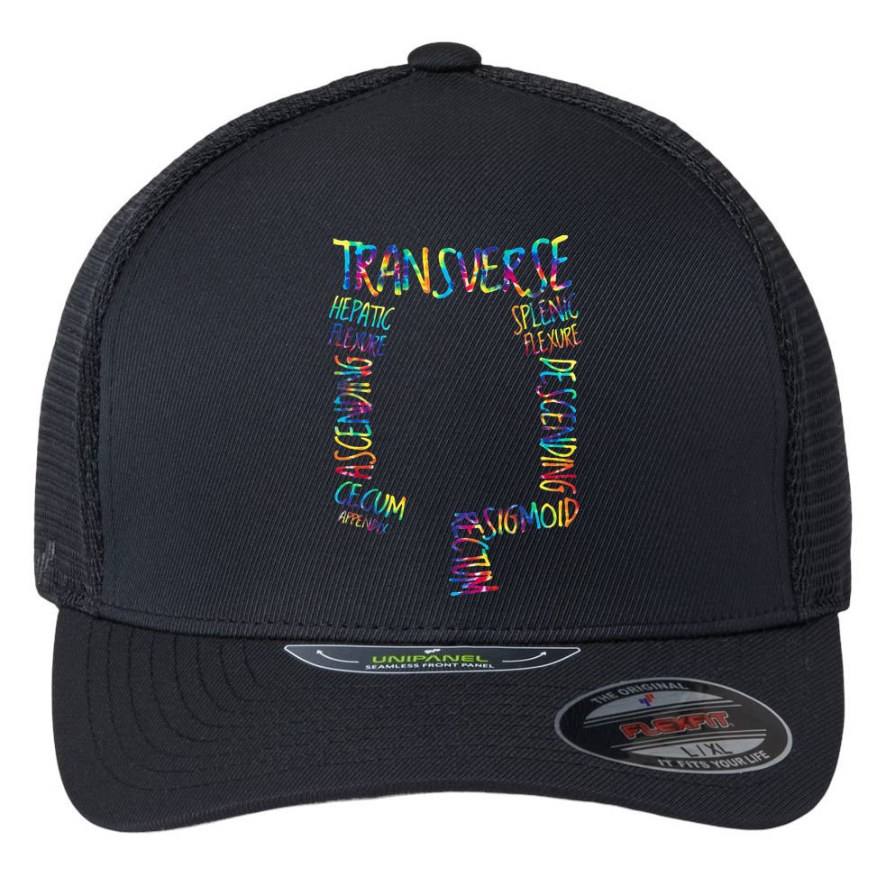 Gi Endoscopy Nurse Endo Tech Colonoscopy Map Flexfit Unipanel Trucker Cap