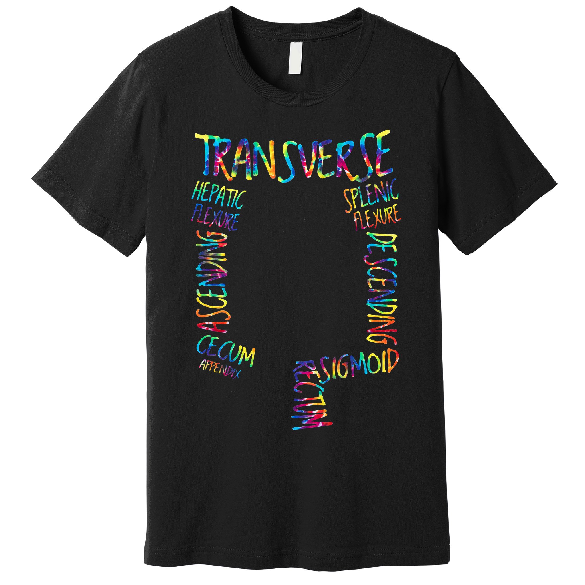 Gi Endoscopy Nurse Endo Tech Colonoscopy Map Premium T-Shirt