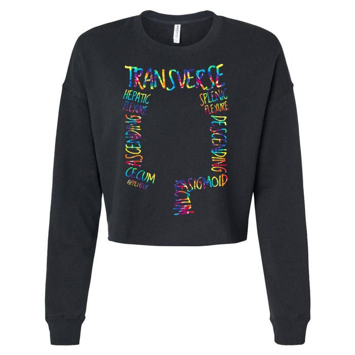 Gi Endoscopy Nurse Endo Tech Colonoscopy Map Cropped Pullover Crew