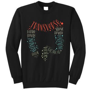 Gi Endoscopy Nurse Endo Tech Colonoscopy Colon Anatomy Tall Sweatshirt