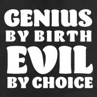 Genius By Birth Evil By Choice Adult Drive Performance Visor