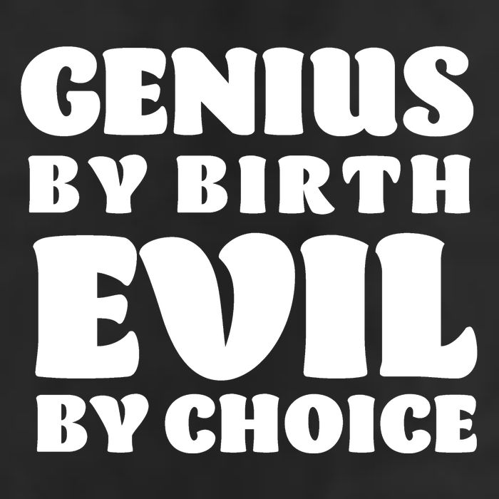 Genius By Birth Evil By Choice Adult Drive Performance Visor