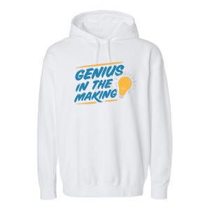 Genius In The Making Garment-Dyed Fleece Hoodie