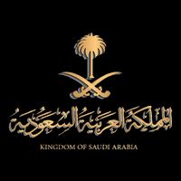 Golden Emblem Of Kingdom Of Saudi Arabia Saudi Flag 16 in Basic Backpack