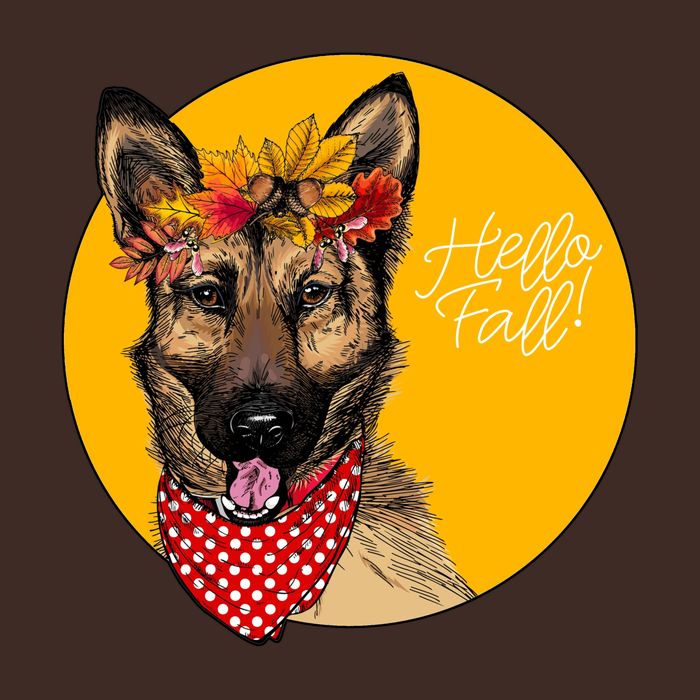 German Shepherd Dog Autumn Leaves Crown Hello Fall T-Shirt