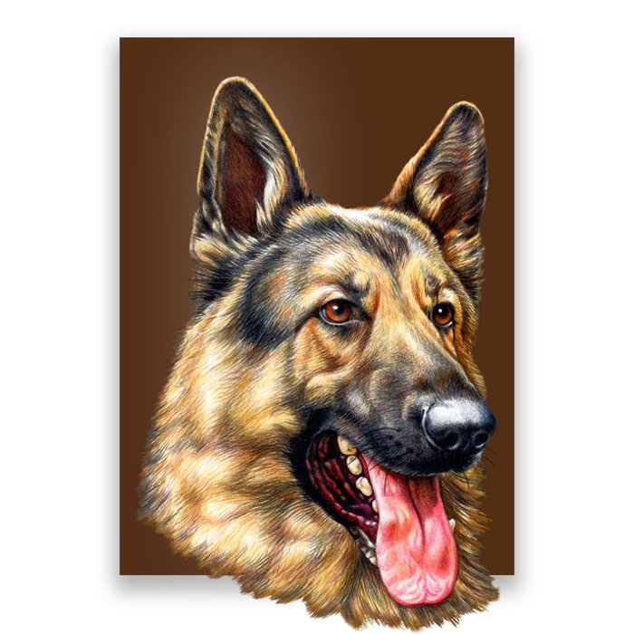 German Shepherd Face Poster