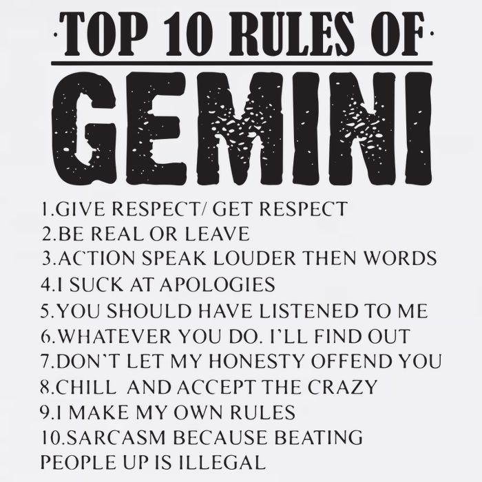 Gemini Funny 10 Rules Of Gemini Zodiac Signs Birthday Sustainable Bucket Hat