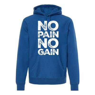 Gym Fitness And Bodybuilding Funny Gift No Pain No Gain Great Gift Premium Hoodie