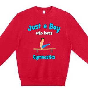 Gymnastics for Boy | Gymnastics Premium Crewneck Sweatshirt