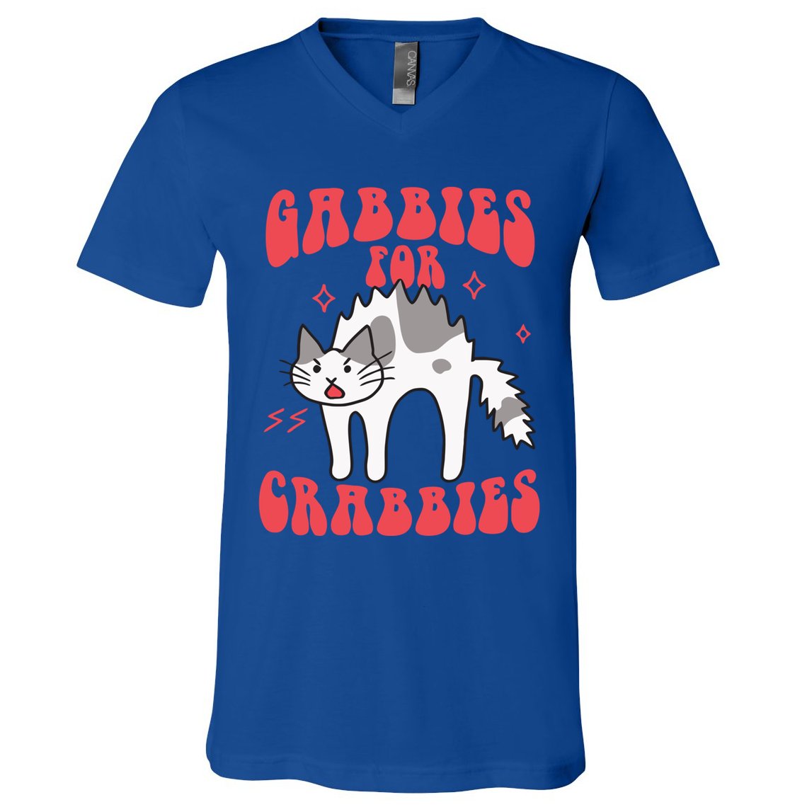Gabbies For Crabbies Funny Funny Gift V-Neck T-Shirt