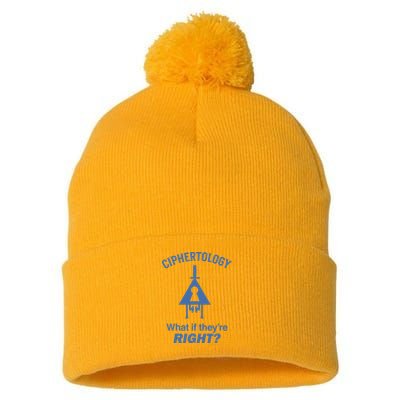 Gravity Falls Ciphertology What If TheyRe Right Pom Pom 12in Knit Beanie