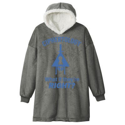 Gravity Falls Ciphertology What If TheyRe Right Hooded Wearable Blanket