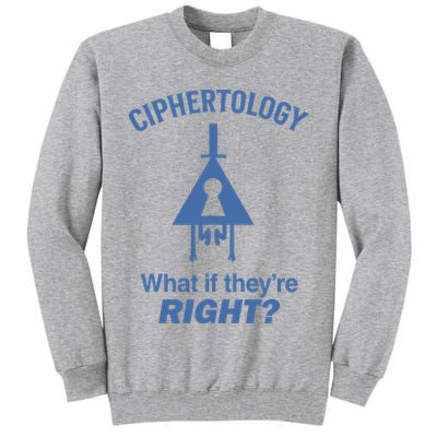 Gravity Falls Ciphertology What If TheyRe Right Tall Sweatshirt