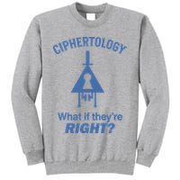 Gravity Falls Ciphertology What If TheyRe Right Tall Sweatshirt