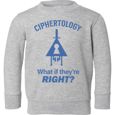 Gravity Falls Ciphertology What If TheyRe Right Toddler Sweatshirt