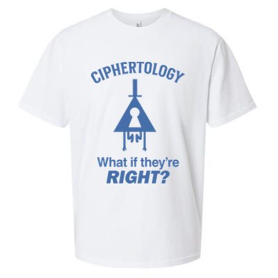 Gravity Falls Ciphertology What If TheyRe Right Sueded Cloud Jersey T-Shirt
