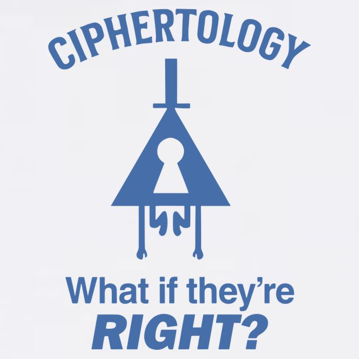 Gravity Falls Ciphertology What If TheyRe Right Cool Comfort Performance Bucket Hat