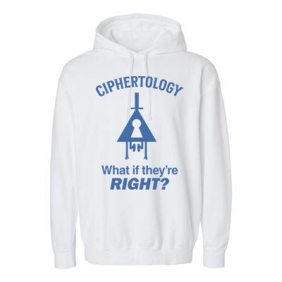 Gravity Falls Ciphertology What If TheyRe Right Garment-Dyed Fleece Hoodie