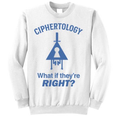Gravity Falls Ciphertology What If TheyRe Right Sweatshirt