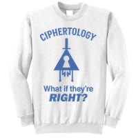 Gravity Falls Ciphertology What If TheyRe Right Sweatshirt