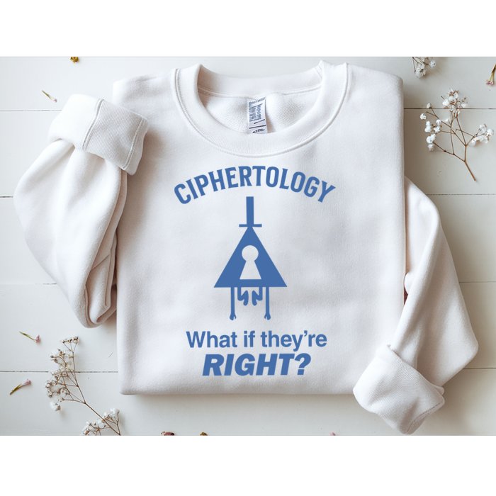 Gravity Falls Ciphertology What If TheyRe Right Sweatshirt
