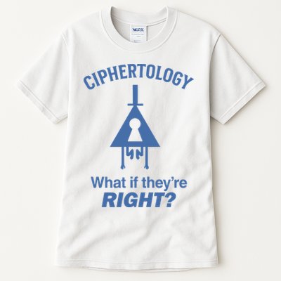 Gravity Falls Ciphertology What If TheyRe Right Tall T-Shirt