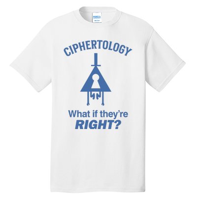 Gravity Falls Ciphertology What If TheyRe Right Tall T-Shirt