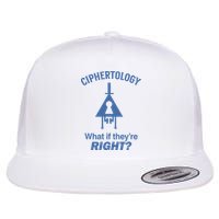 Gravity Falls Ciphertology What If TheyRe Right Flatbill Hat
