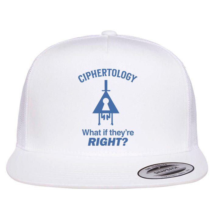 Gravity Falls Ciphertology What If TheyRe Right Flatbill Hat