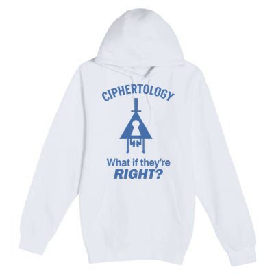 Gravity Falls Ciphertology What If TheyRe Right Premium Pullover Hoodie
