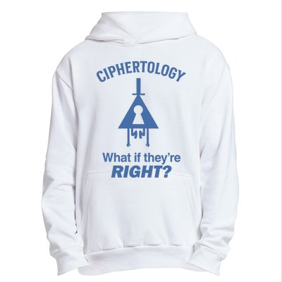 Gravity Falls Ciphertology What If TheyRe Right Urban Pullover Hoodie