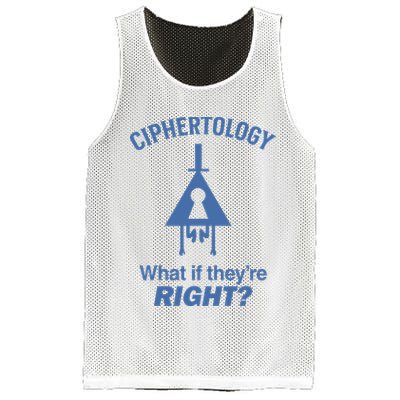 Gravity Falls Ciphertology What If TheyRe Right Mesh Reversible Basketball Jersey Tank
