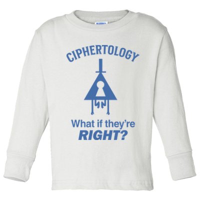 Gravity Falls Ciphertology What If TheyRe Right Toddler Long Sleeve Shirt