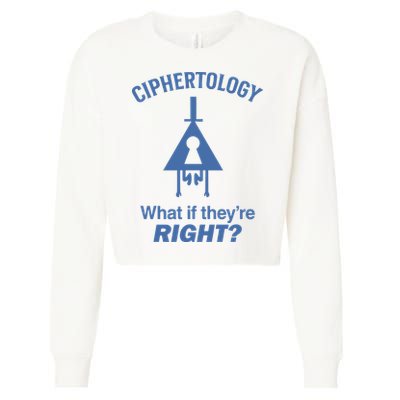 Gravity Falls Ciphertology What If TheyRe Right Cropped Pullover Crew