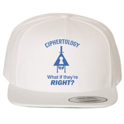 Gravity Falls Ciphertology What If TheyRe Right Wool Snapback Cap