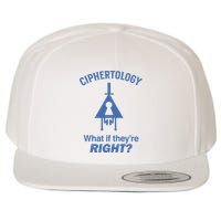 Gravity Falls Ciphertology What If TheyRe Right Wool Snapback Cap