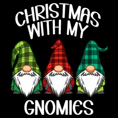 Gnome Family Christmas Buffalo Plaid T-Shirt