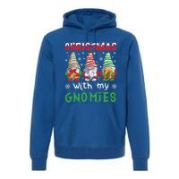 Gnome Family Christmas Gnomies Gift Premium Hoodie