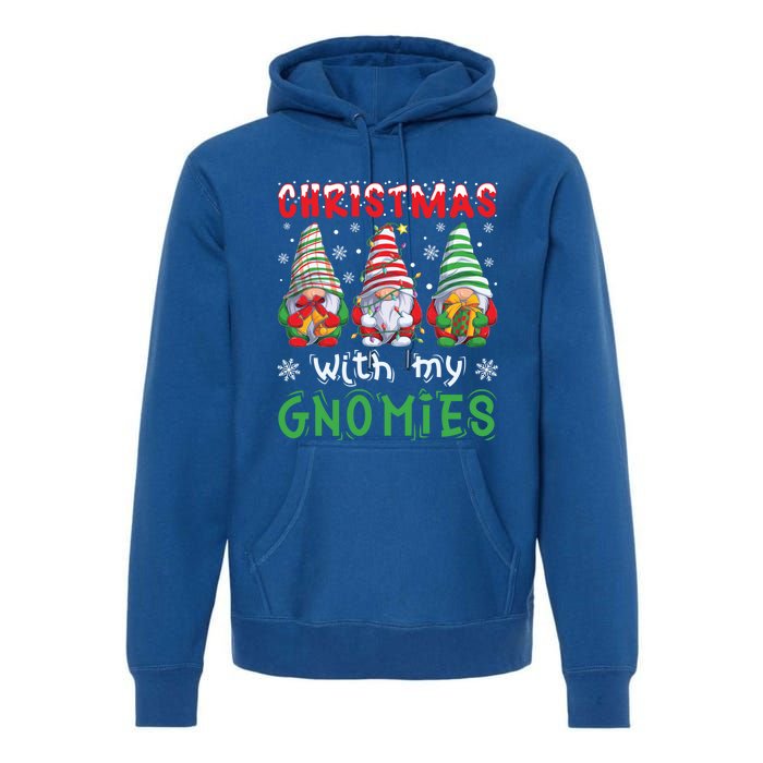 Gnome Family Christmas Gnomies Gift Premium Hoodie