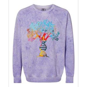 Genealogist Family DNA Lineage Researcher Genealogy Tree Colorblast Crewneck Sweatshirt