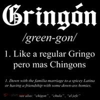 Gringón Funny Definition Sustainable Beanie