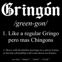 Gringón Funny Definition Youth Performance Sprint T-Shirt