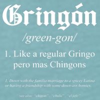 Gringón Funny Definition Sueded Cloud Jersey T-Shirt