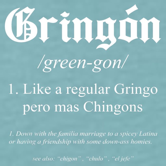 Gringón Funny Definition Sueded Cloud Jersey T-Shirt