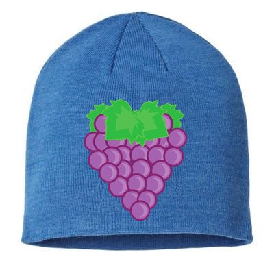 Grape Fruit Easy Lazy DIY Halloween Costume Sustainable Beanie