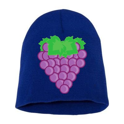 Grape Fruit Easy Lazy DIY Halloween Costume Short Acrylic Beanie