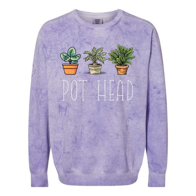 Gardening Farmer Funny Pot Head Plants Gardener Mom Colorblast Crewneck Sweatshirt