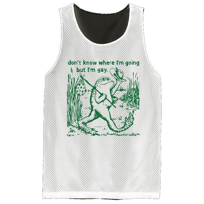 Gay Frog Funny I DonT Know Where IM Going But IM Gay Mesh Reversible Basketball Jersey Tank