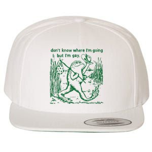 Gay Frog Funny I DonT Know Where IM Going But IM Gay Wool Snapback Cap